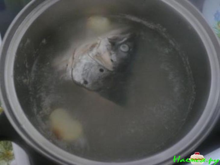 Уха антикризисная Уха антикризисная