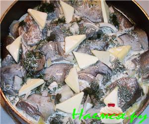 Форель тушеная в сливках