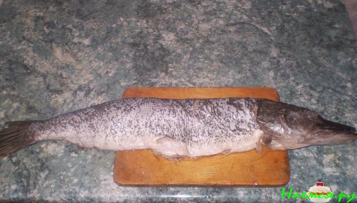 Фаршированная праздничная щука