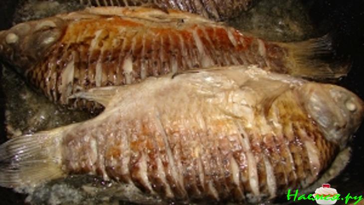 Караси в сметане с шампиньонами и чесноком Караси в сметане с шампиньонами и чесноком