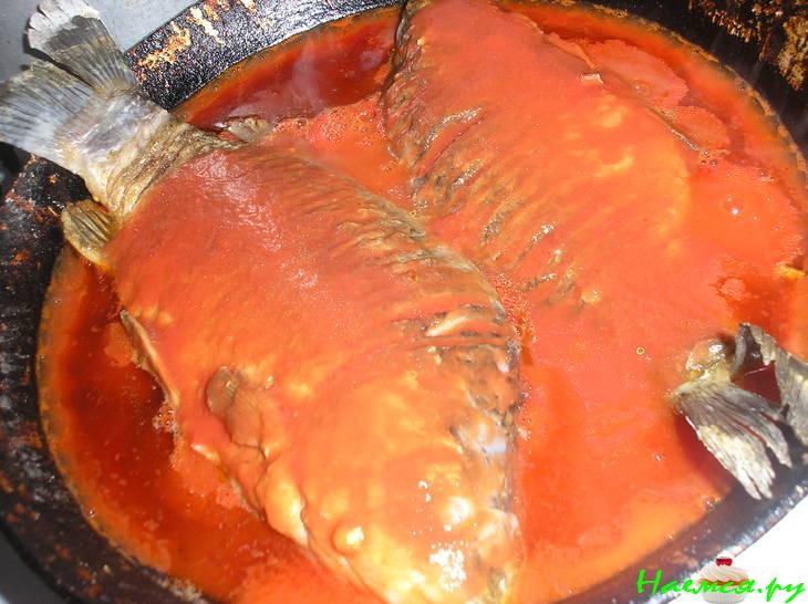 Борщ из рыбы