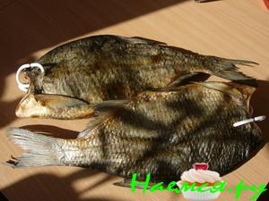 Лещ вяленый