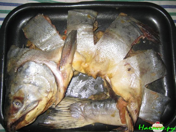 Горбуша на прогулке