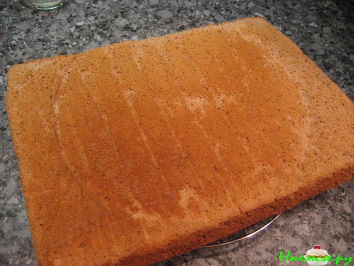 Пляцок 'Сакура' Пляцок 'Сакура'