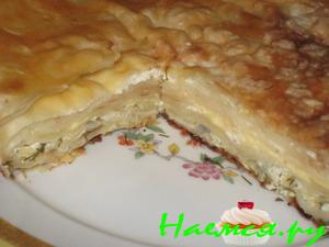 Ачма лентяйская