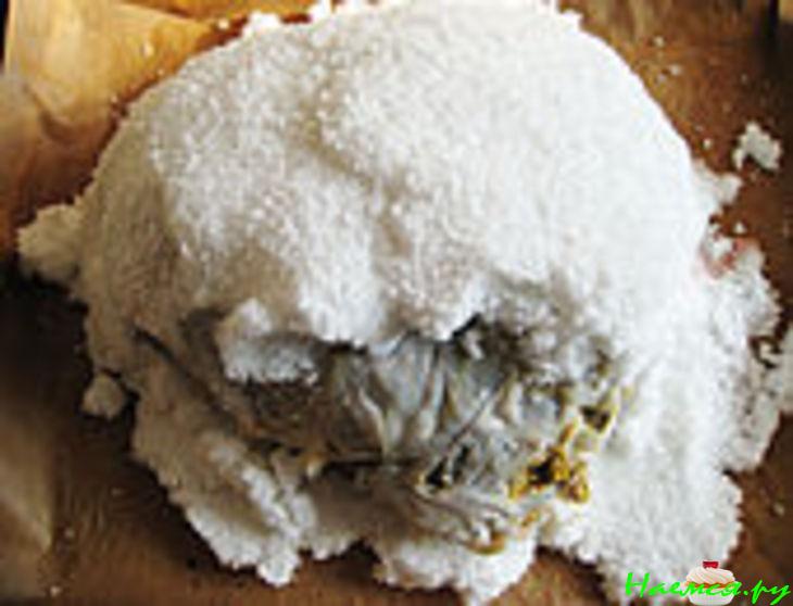 Оленина в соли Оленина в соли