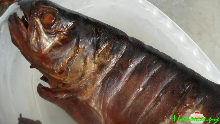 Копчение дома, вернее, на природе Копчение дома, вернее, на природе