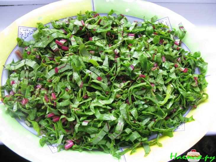 "Молодой" борщ с свекольной ботвой