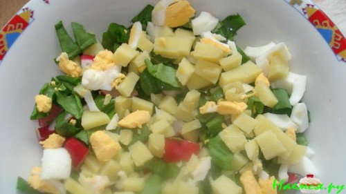 Дикая окрошка