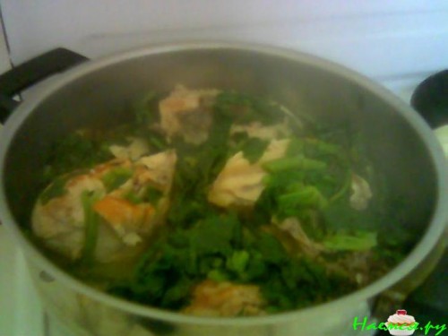 Фрикасе с курочкой