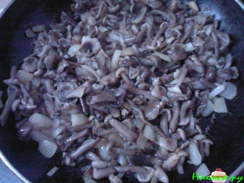 Мясные рулетики с опятами