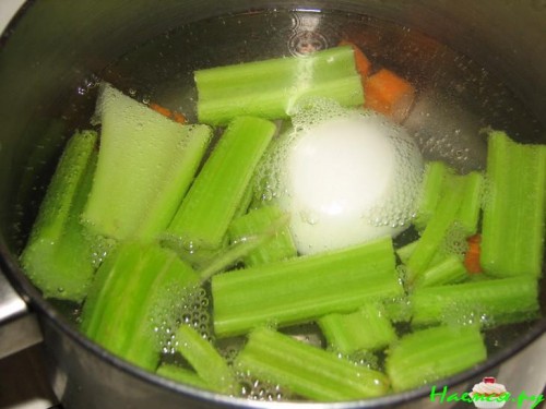 Яркие краски осени