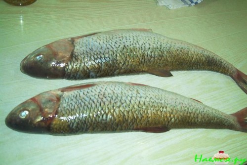 Лявянги "Бакинское"