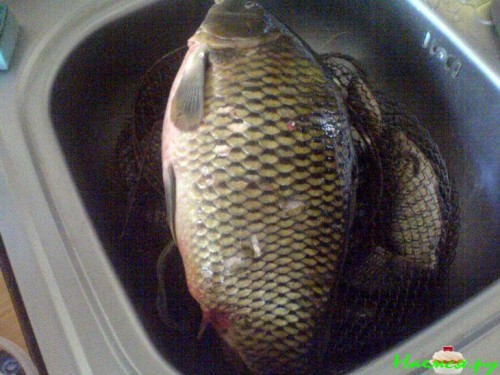 Карп запеченный с овощами и грибами