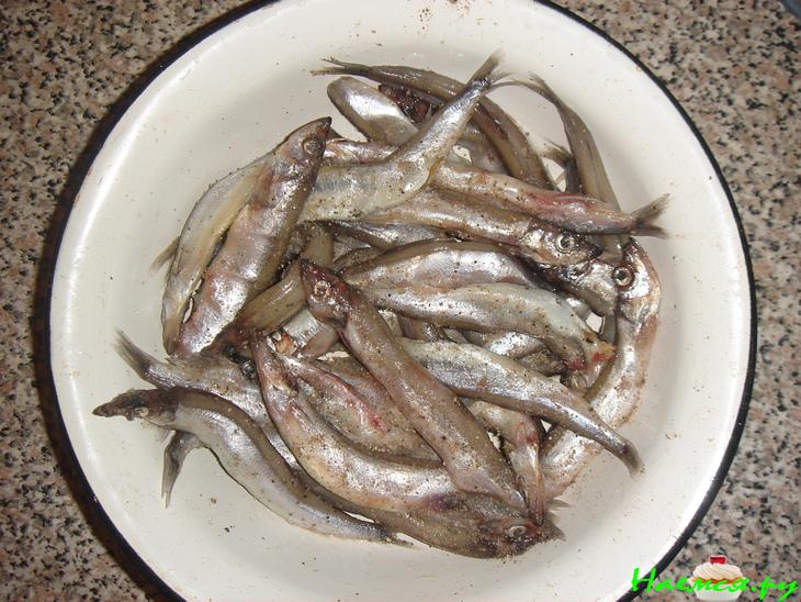 Ужин от Mr.Bentley