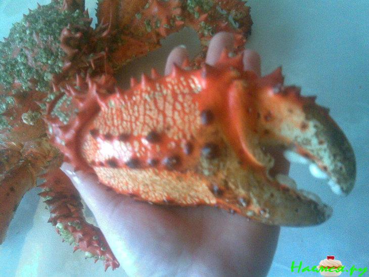 Салат крабовый "Капитанский"