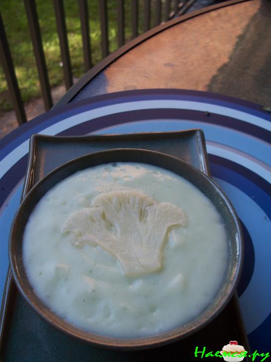 Суп холодный из цветной капусты !!! Суп холодный из цветной капусты !!!