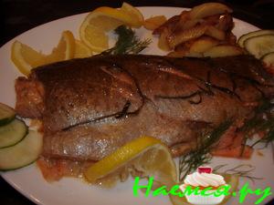 Просто очень вкусная Форель