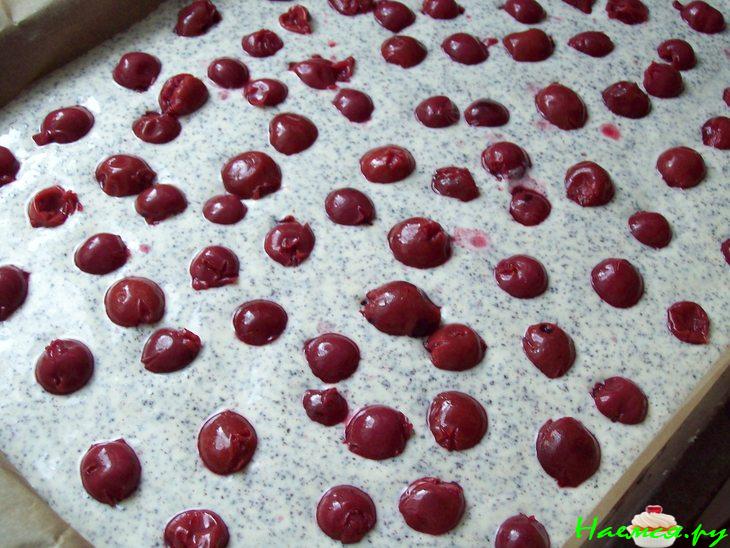 Вишнёво-маковый пирог с творогом и посыпкой "Штрейзель" 