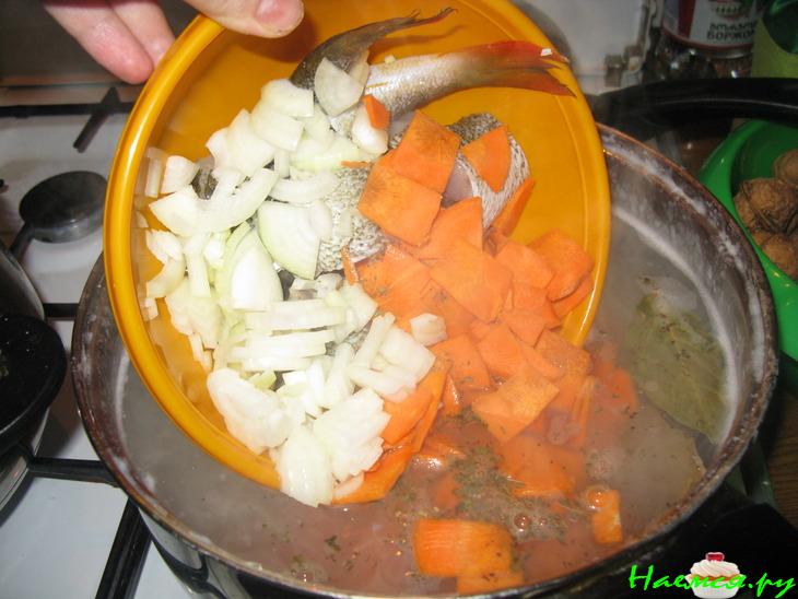 Уха домашняя диетическая