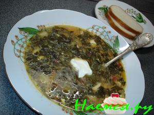 Щавелевый борщ или Зеленый борщ по-Таганрогски Щавелевый борщ или Зеленый борщ по-Таганрогски