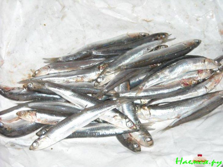 Pasta con aliciе "Паста с анчоусами" Pasta con aliciе "Паста с анчоусами"