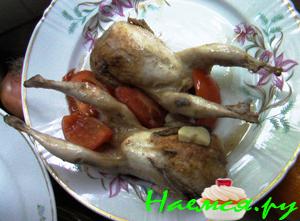 Перепелки в белом сухом вине Перепелки в белом сухом вине