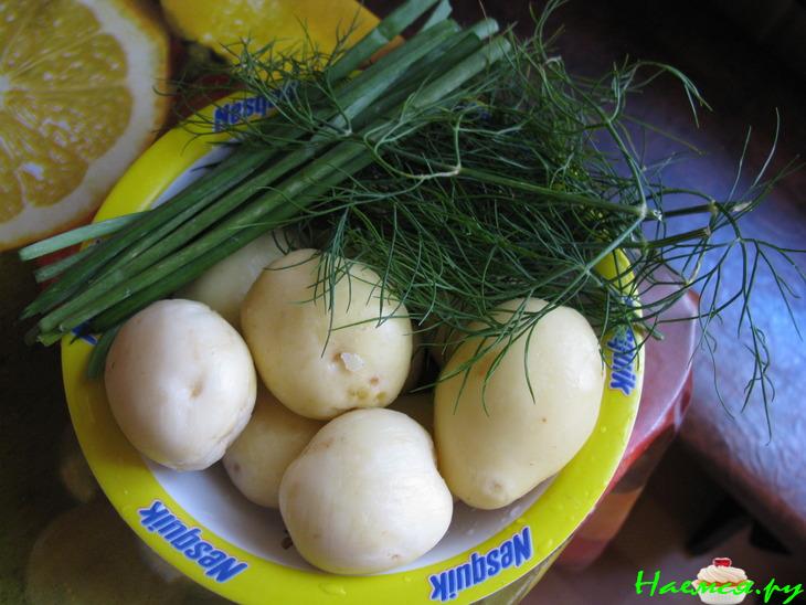 Молодой картофель с зеленью (два варианта) Молодой картофель с зеленью (два варианта)