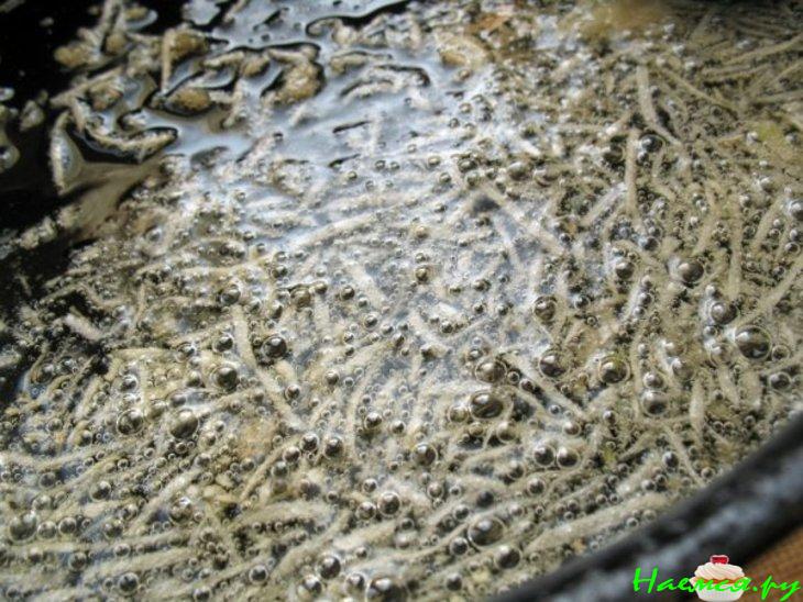 Баклажаны "Божьи коровки" Баклажаны "Божьи коровки"