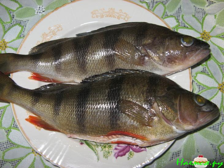 Окунь в татарском соусе