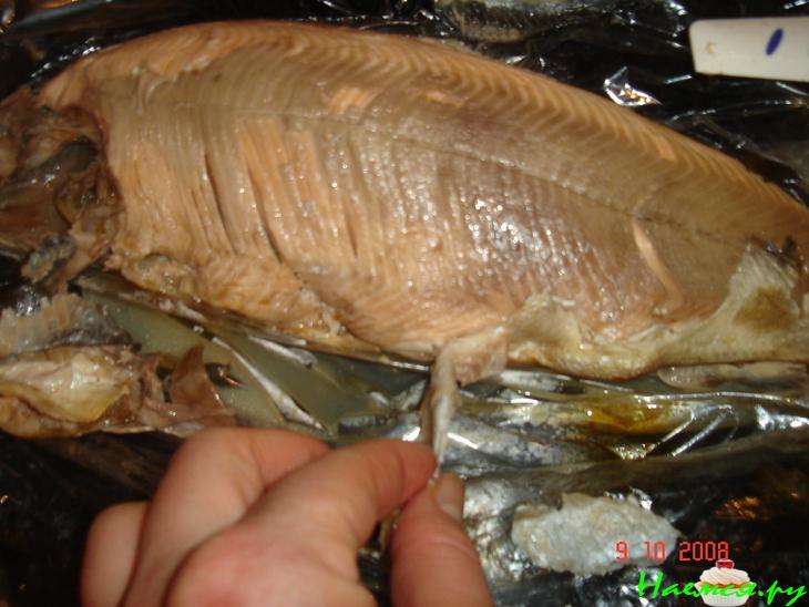 Горбуша из "рукава"