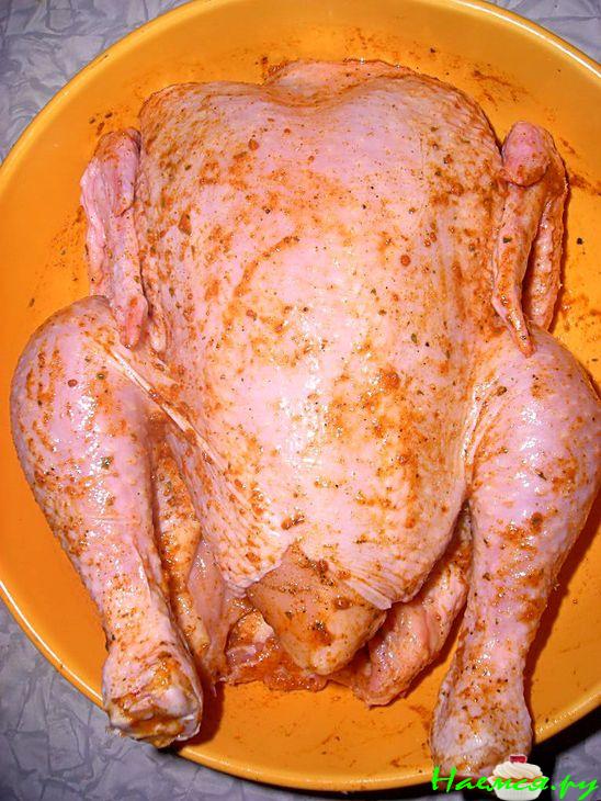 Курочка "Наездница"