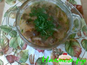 Суп "Опенок"