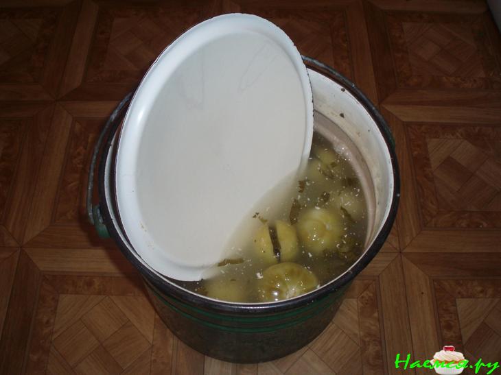 Бочковые зеленые помидоры