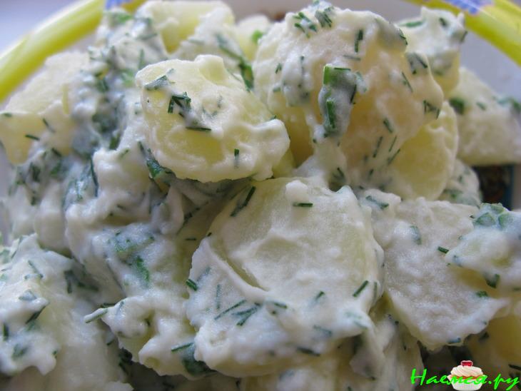 Молодой картофель с зеленью (два варианта) Молодой картофель с зеленью (два варианта)