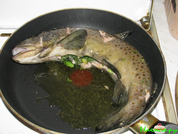 Радужная форель от Монмаранси