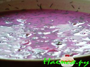 Холодный борщ (вариант) Холодный борщ (вариант)