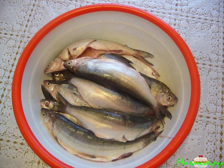 Пелядь маринованная 3х часовая Пелядь маринованная 3х часовая