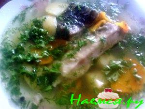 Юшка рыбная из карпа