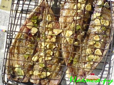 Шашлык из речной рыбы