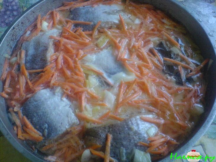 "Молочная рыбка" "Молочная рыбка"