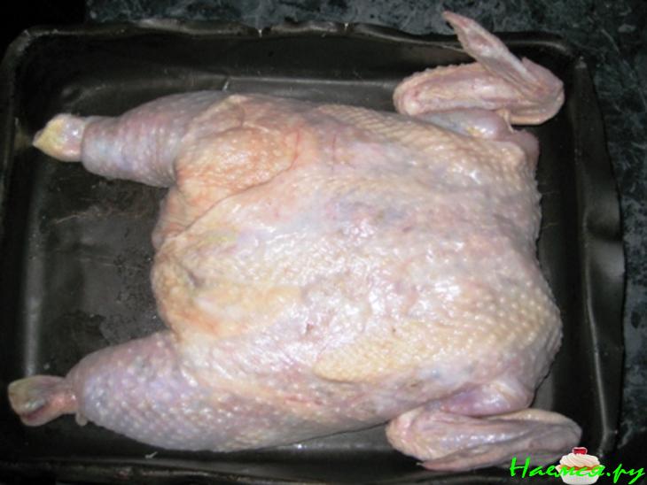 Нежненькая курочка Нежненькая курочка