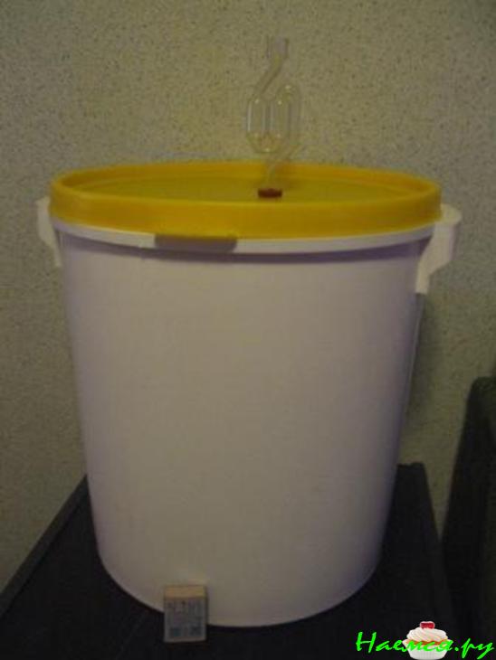 Домашнее пиво