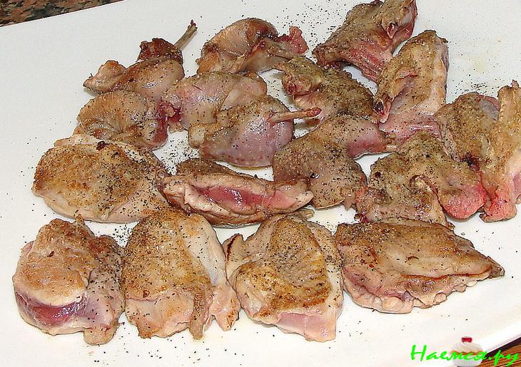 Перепела ... опять перепела