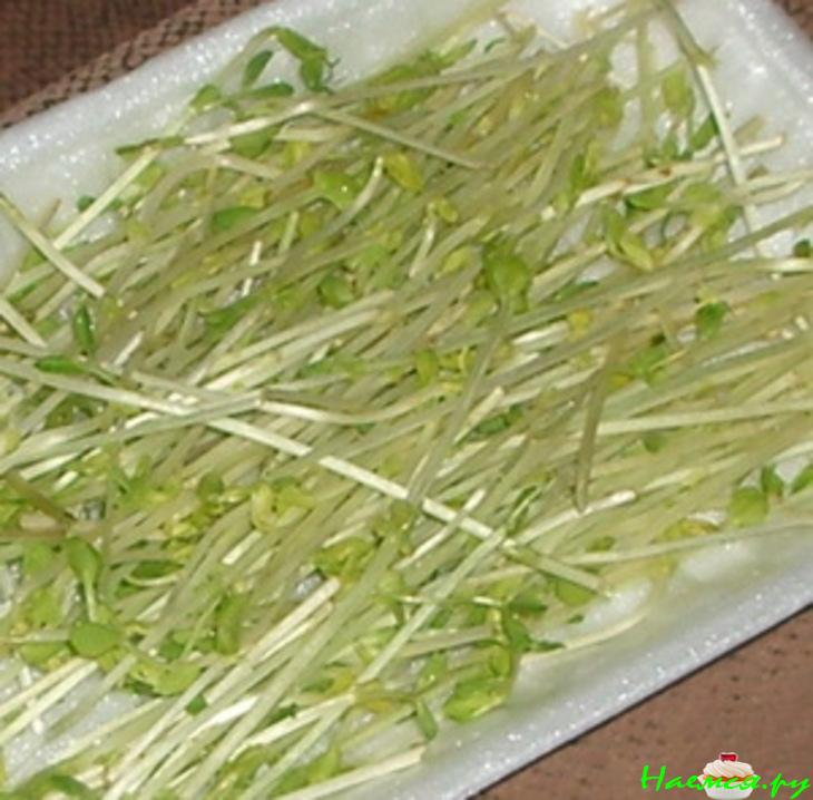 Салат из краснокачанной капусты с проростками