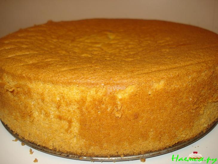 Фруктовый шифоновый бисквит