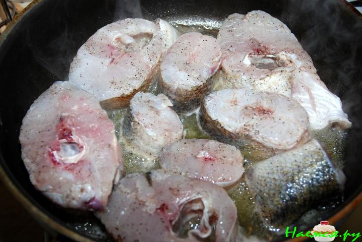 Судак от SCORPY