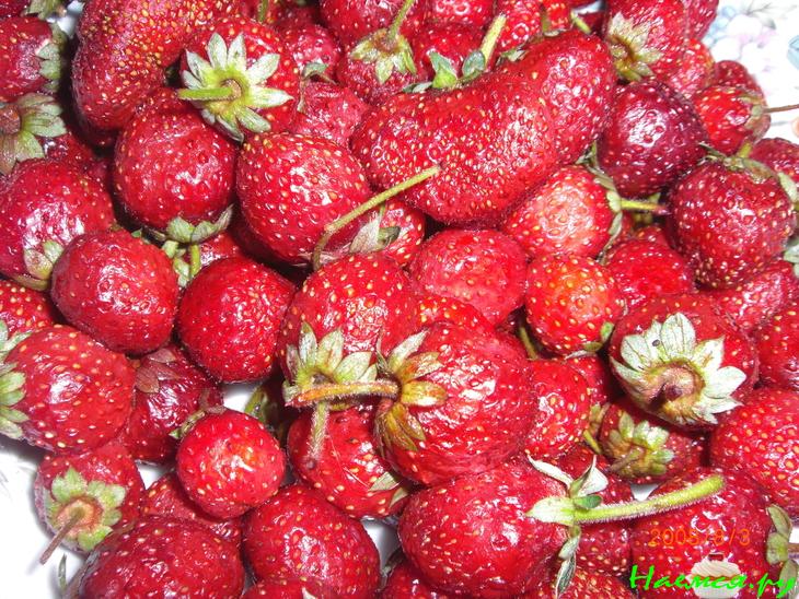 Корейско-Китайско-Японская дружба. День рисовой лапши Корейско-Китайско-Японская дружба. День рисовой лапши