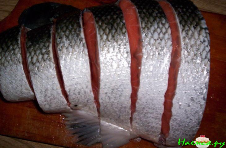 Хвост для Гурманов Хвост для Гурманов