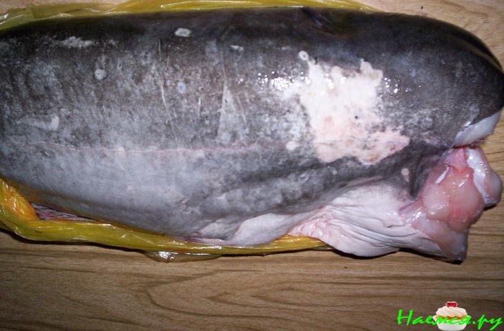 "Сом Воздушный"